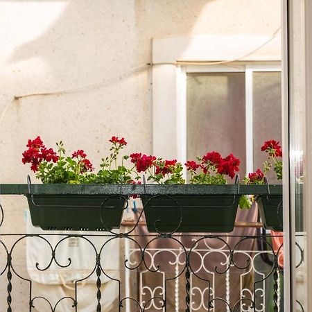 Arrabida House Leilighet Setúbal Eksteriør bilde